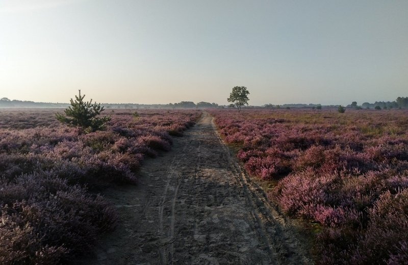 68807517 400785130544475 1000042379928928256 n