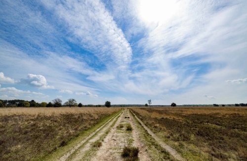 camping hilvarenbeek