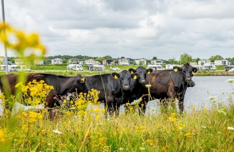 Camping an Himmelfahrt