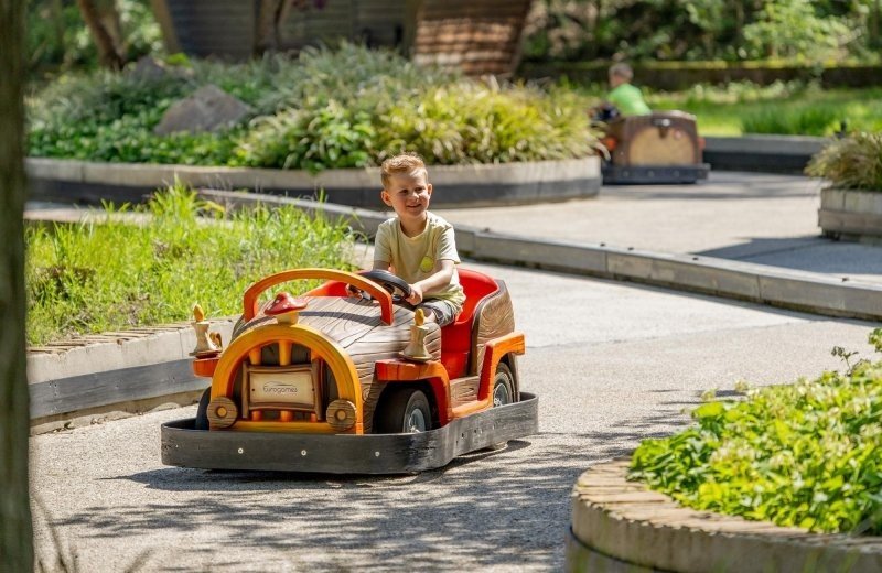 De bergen minicars 5