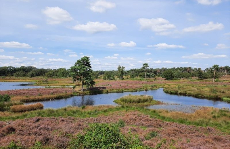 Eldorado camping bei nijmegen