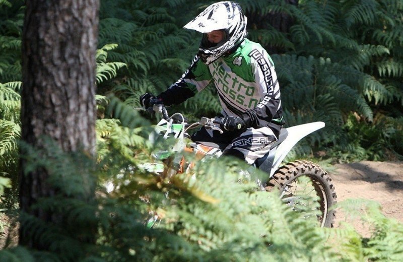 Electrocross 4 6797a6845c975