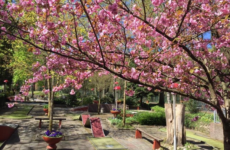 Golfhuisje plasmolen