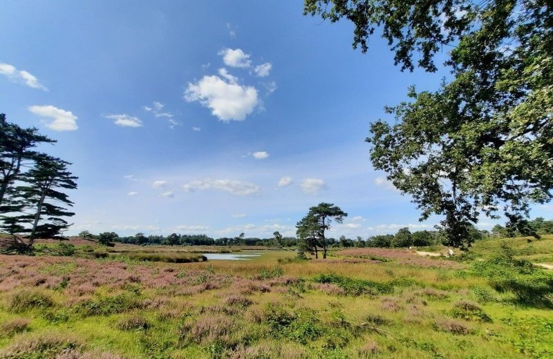 Hatertse en overasseltse vennen 6797a1efb9bac