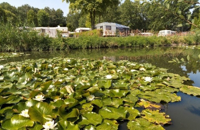 Kamperen in Afferden