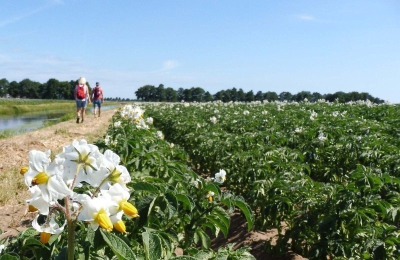Top 5 Aktivitäten in Nord-Limburg